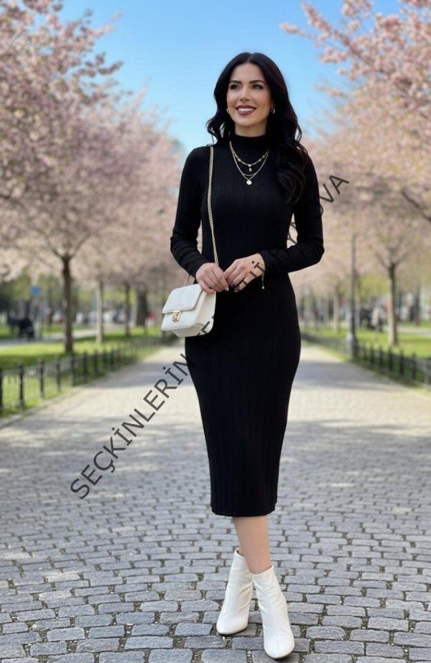 Kadın Uzun Kollu Balıkçı Yaka Triko Elbise